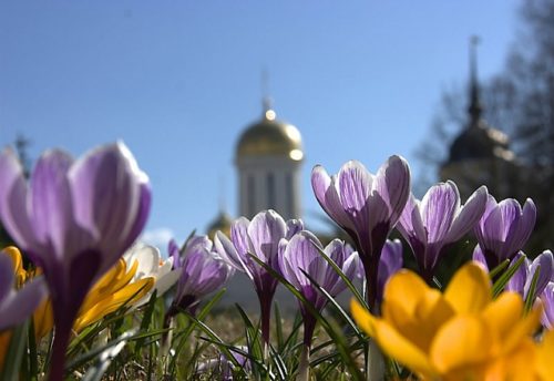 lavra