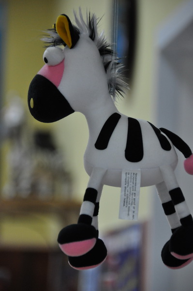 zebra19.jpg
