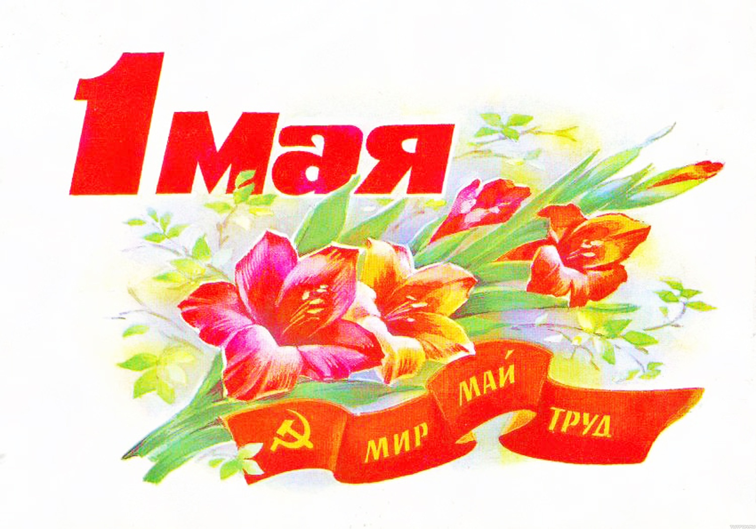 1 мая 2016г. в Кавалерово